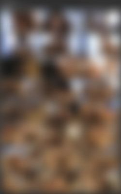 A View To A Gape 2 540p/scr/Scene_1.mp4.jpg