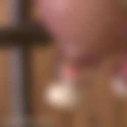 hucows.24.04.20.jasmine.james.back.in.the.barn.mp4