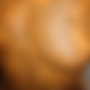 Shitfaced Kitty thumbnail