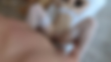 ComerZZ - [PornHubPremium] (MegaPack - 91 Clips - 1080p) - By filismino/ComerZZ - [PornHubPremium] - Fucked Teen Big Tits Girlfriend in Wet Pussy and Tight Ass - 1080p.mp4