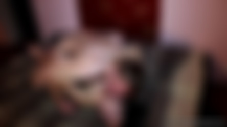 CasualTeenSex.com/720/mcts002_Willing_to_fuck_a_stranger.mp4